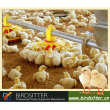 15% OFF Modern Chicken Farm Equipment of Bird Husbandry